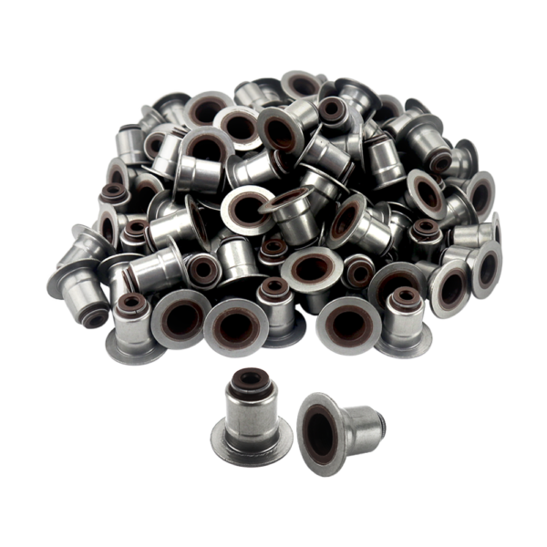 Valve Stem Seals